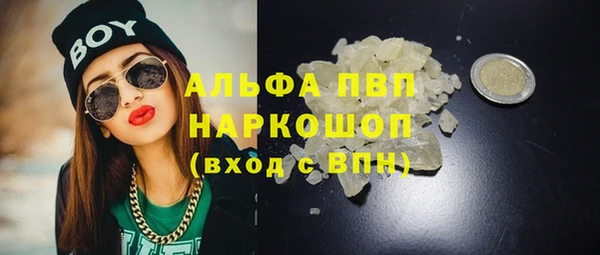 спиды Магас
