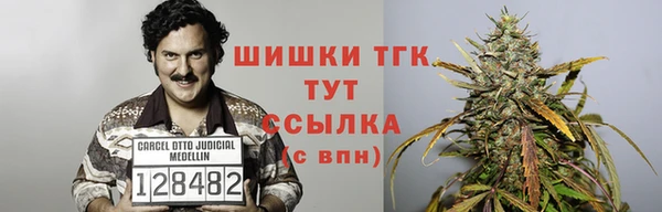 спиды Магас