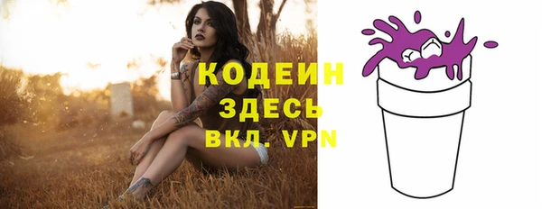 твердый Мегион