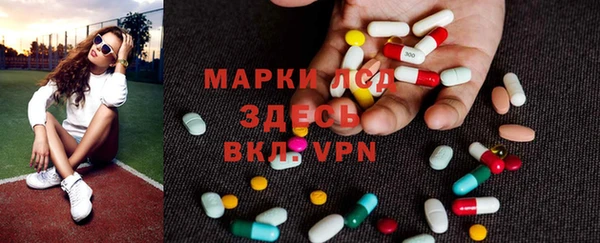 спиды Магас