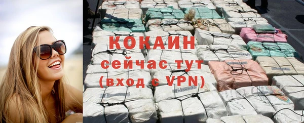 твердый Майский