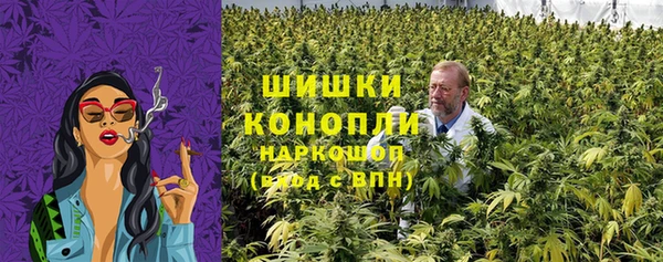 твердый Мегион