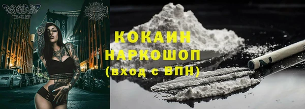 твердый Мегион