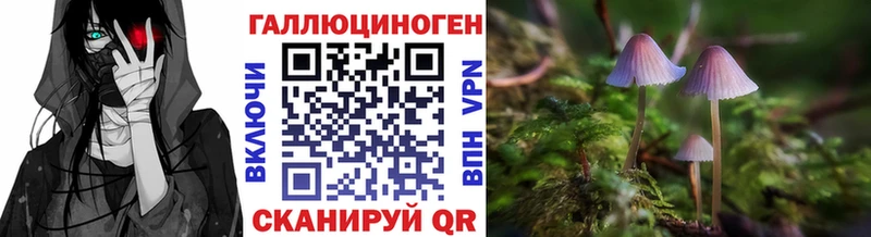 Галлюциногенные грибы Magic Shrooms  даркнет сайт  Пыталово 